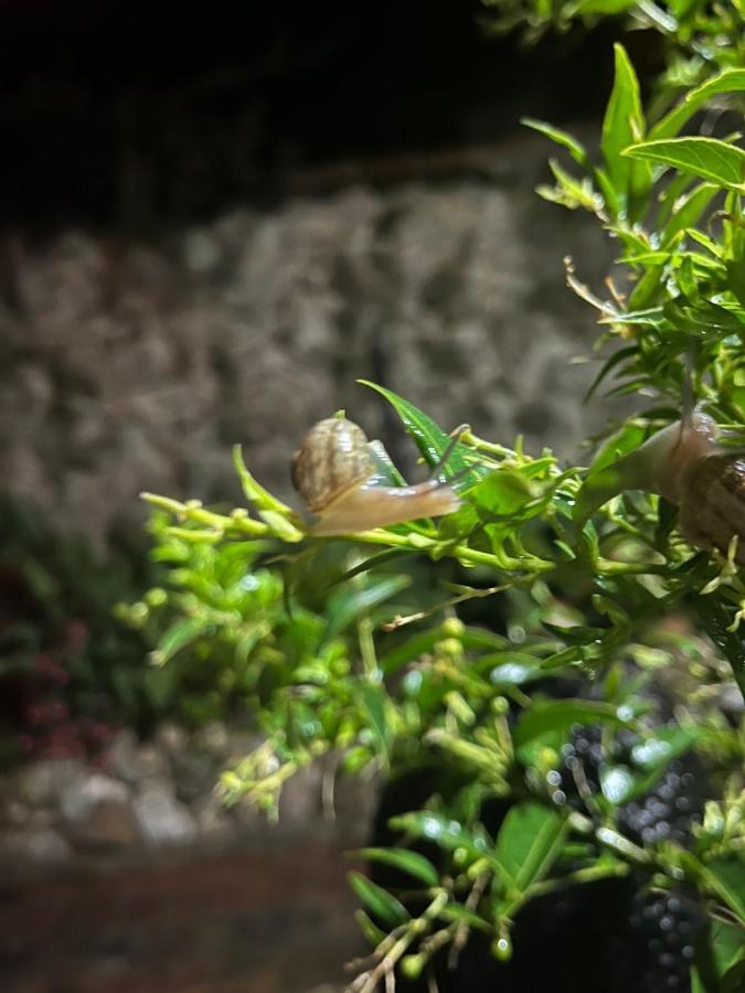 Hotel Casa Boutique Paipa